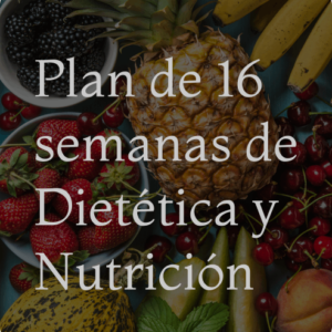 Plan 16 semanas